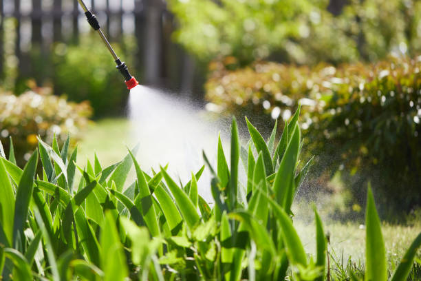 24/7 Emergency Mosquito Control experts in Ada, OK