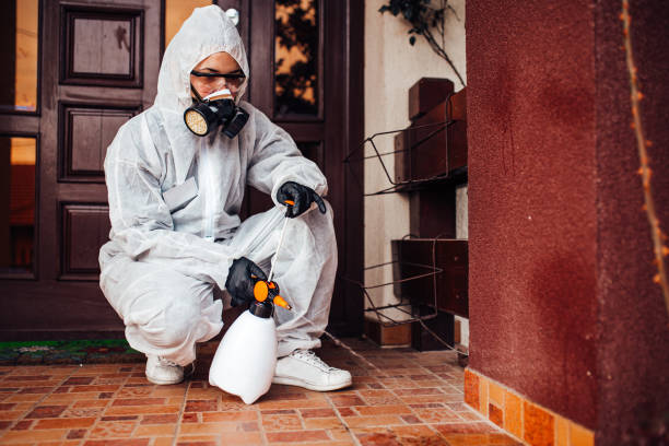 Reliable Mosquito Control contractor in Ada, OK by Nex Pest Control